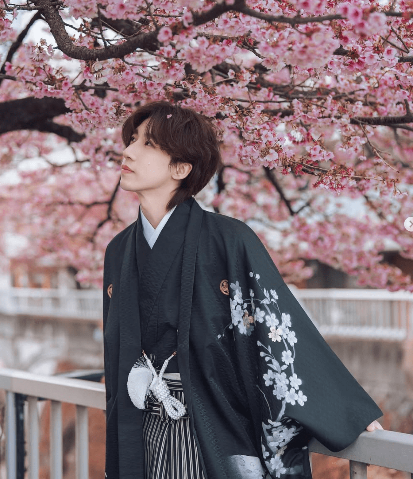 高級男性袴