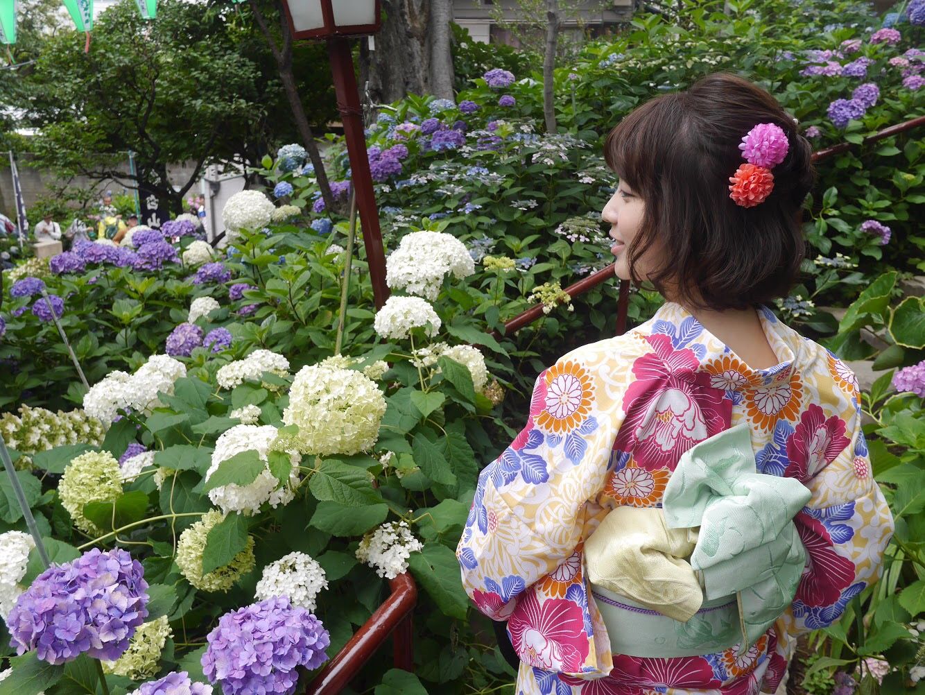 華やかな花柄浴衣を着た女性が、紫陽花の中で明るく上品な印象を演出する様子